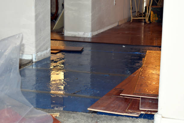 Professional Water Damage Restoration technician working in Morton, MS